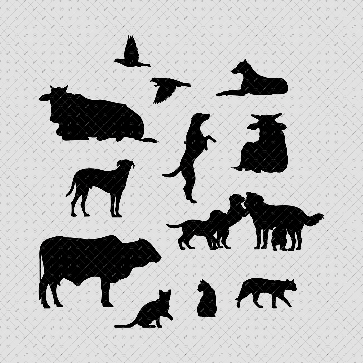 Indian-Street-Animals-Elevation-Photoshop-brush-presets-Stray-dogs-cats-cows