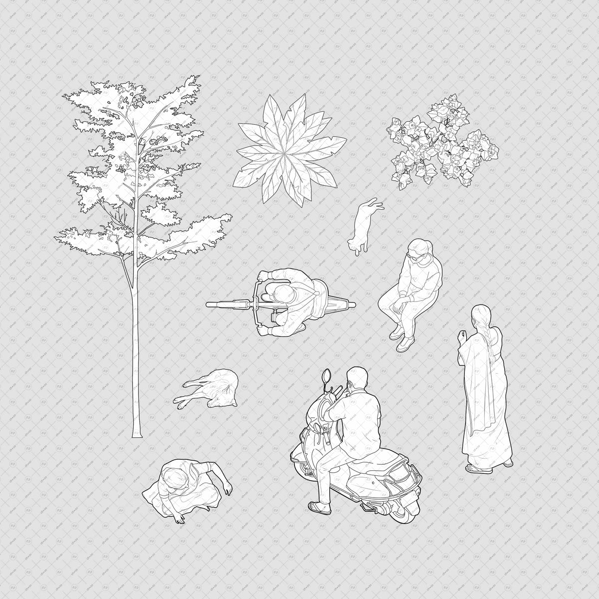 PNG-Architecture-cutouts-FREE-People-Trees-Vehicle-Elevation-Plan-Vector