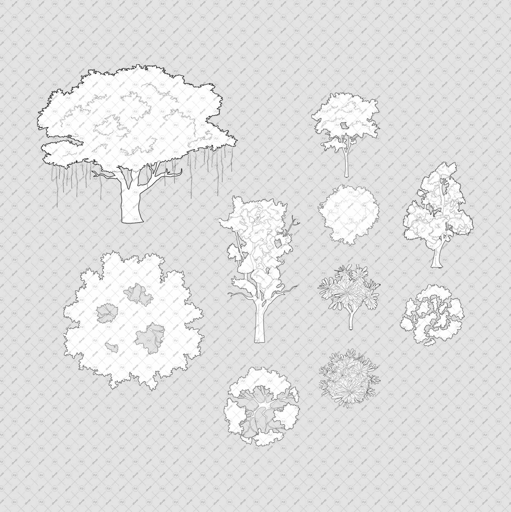 Architecture trees of India vector cutouts pack s for architectural plan and elevation