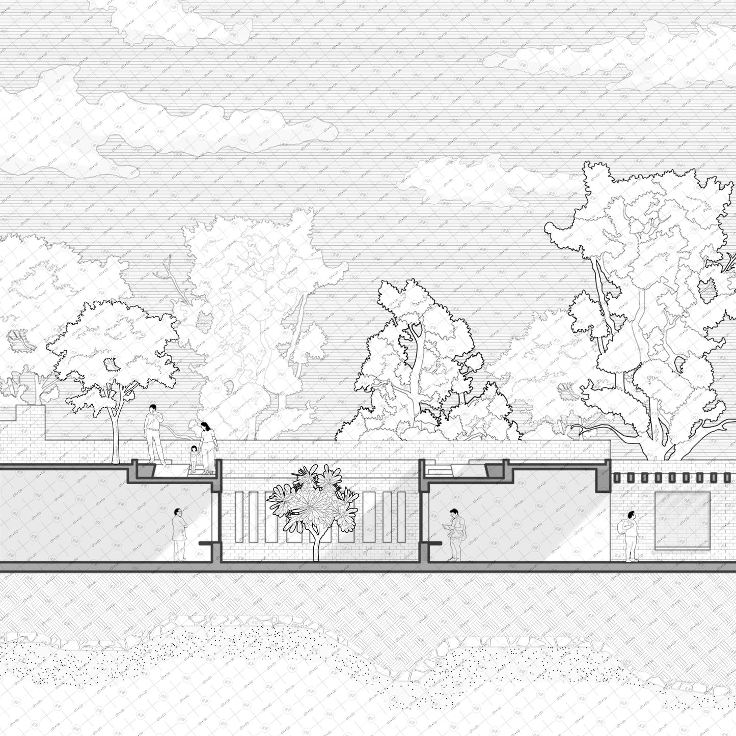 architectural section with Indian trees vector for site plans and elevations