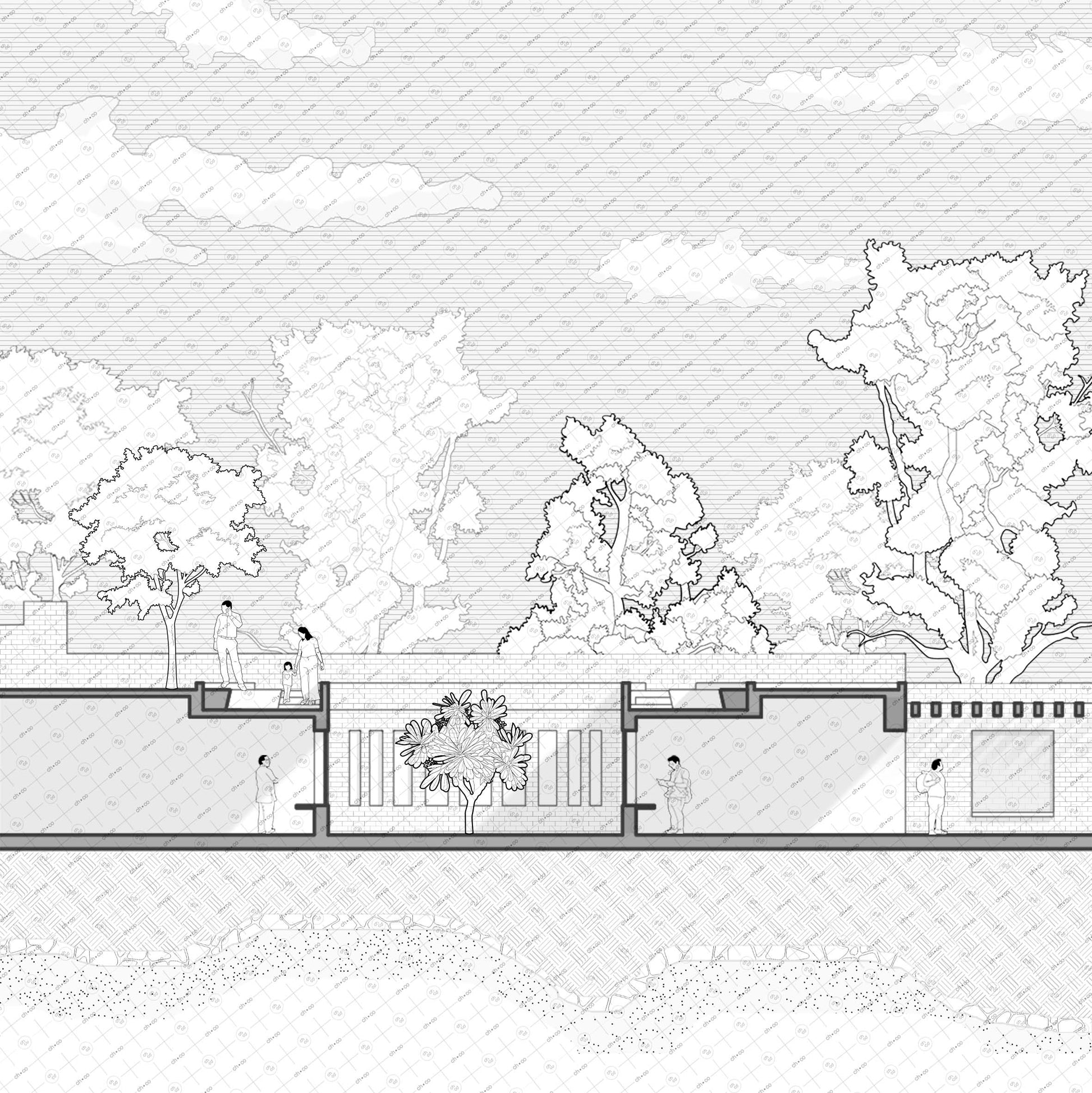 architectural section with Indian trees vector for site plans and elevations