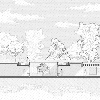architectural section with Indian trees vector for site plans and elevations