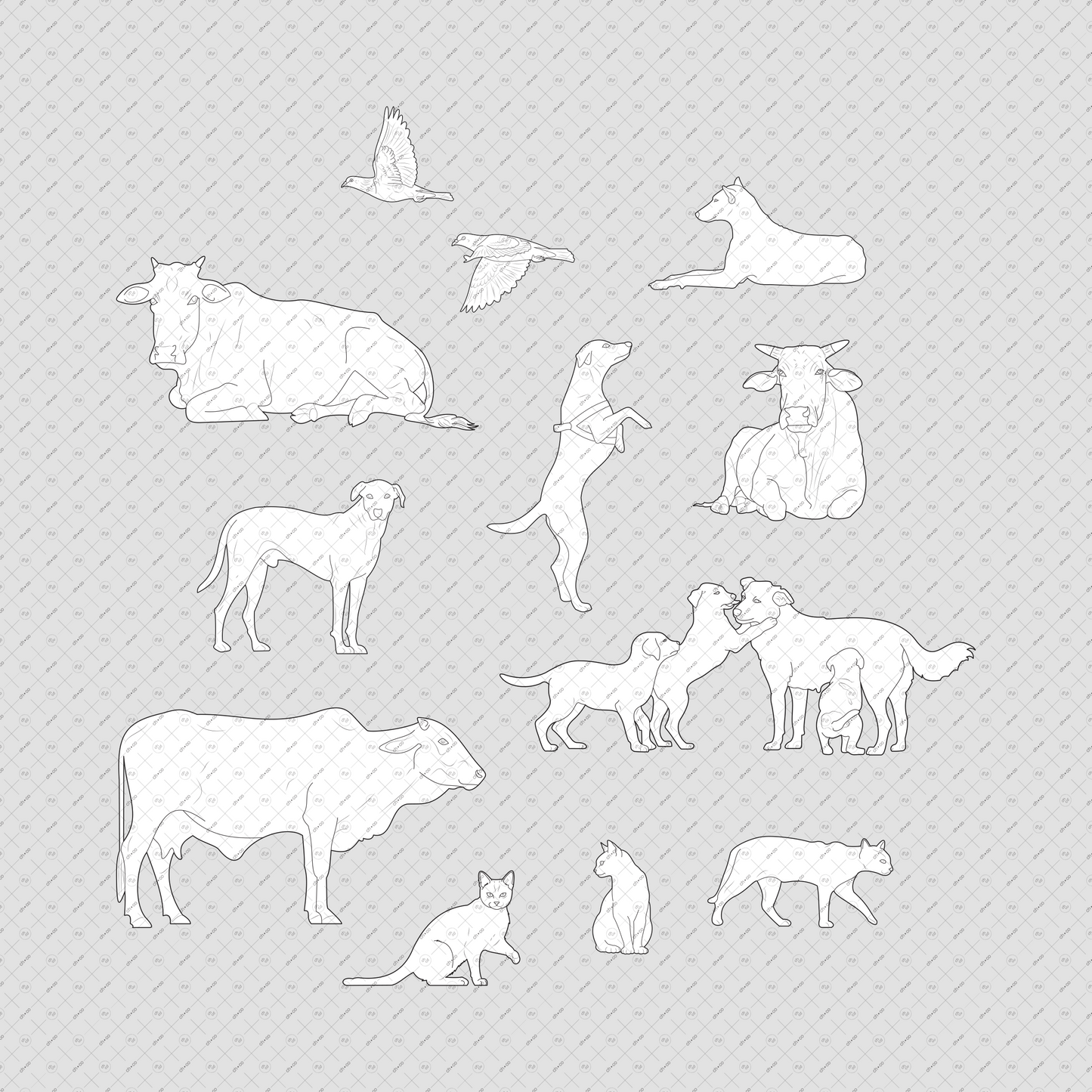 Indian-Street-Animals-Elevation-Vector-PNG-Cutout-Pack-Stray-dogs-cats-cows