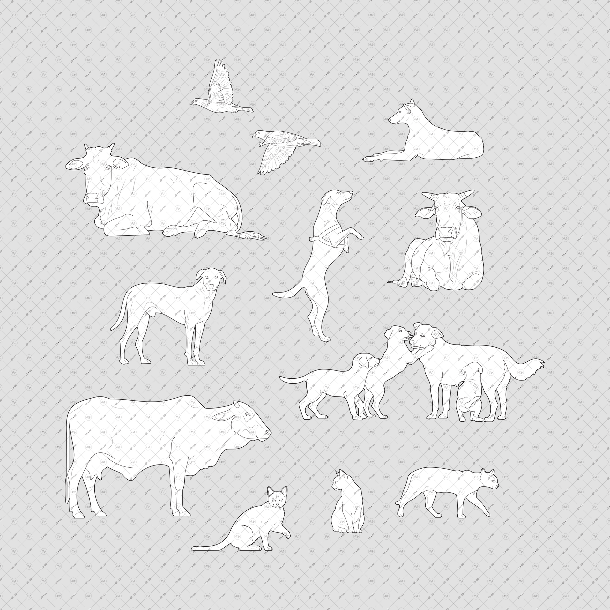 Indian-Street-Animals-Elevation-Vector-PNG-Cutout-Pack-Stray-dogs-cats-cows