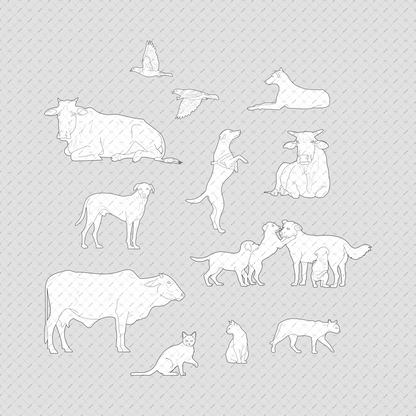 Indian-Street-Animals-Elevation-Vector-PNG-Cutout-Pack-Stray-dogs-cats-cows