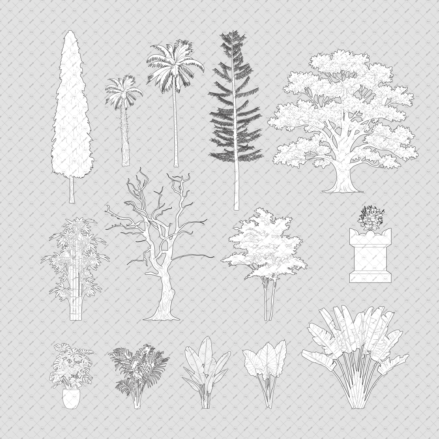 Indian-Trees-Vector-Cutouts-Pack-Native-Landscaping-Trees-Elevation-Architecture-drawings