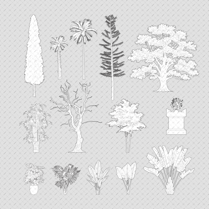 Indian-Trees-Vector-Cutouts-Pack-Native-Landscaping-Trees-Elevation-Architecture-drawings