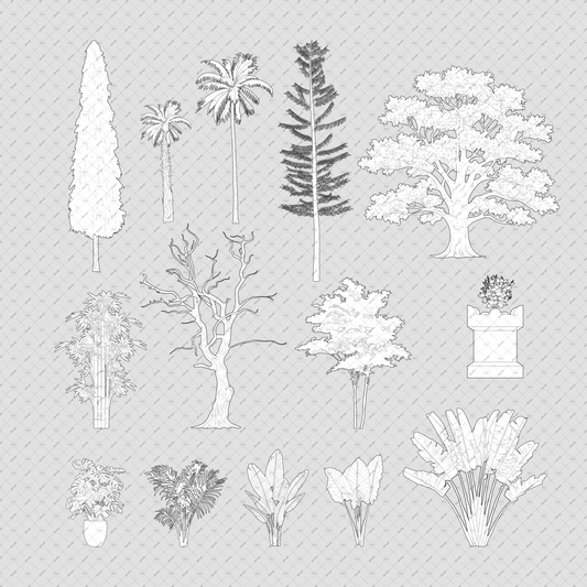 Indian-Trees-Vector-Cutouts-Pack-Native-Landscaping-Trees-Elevation-Architecture-drawings