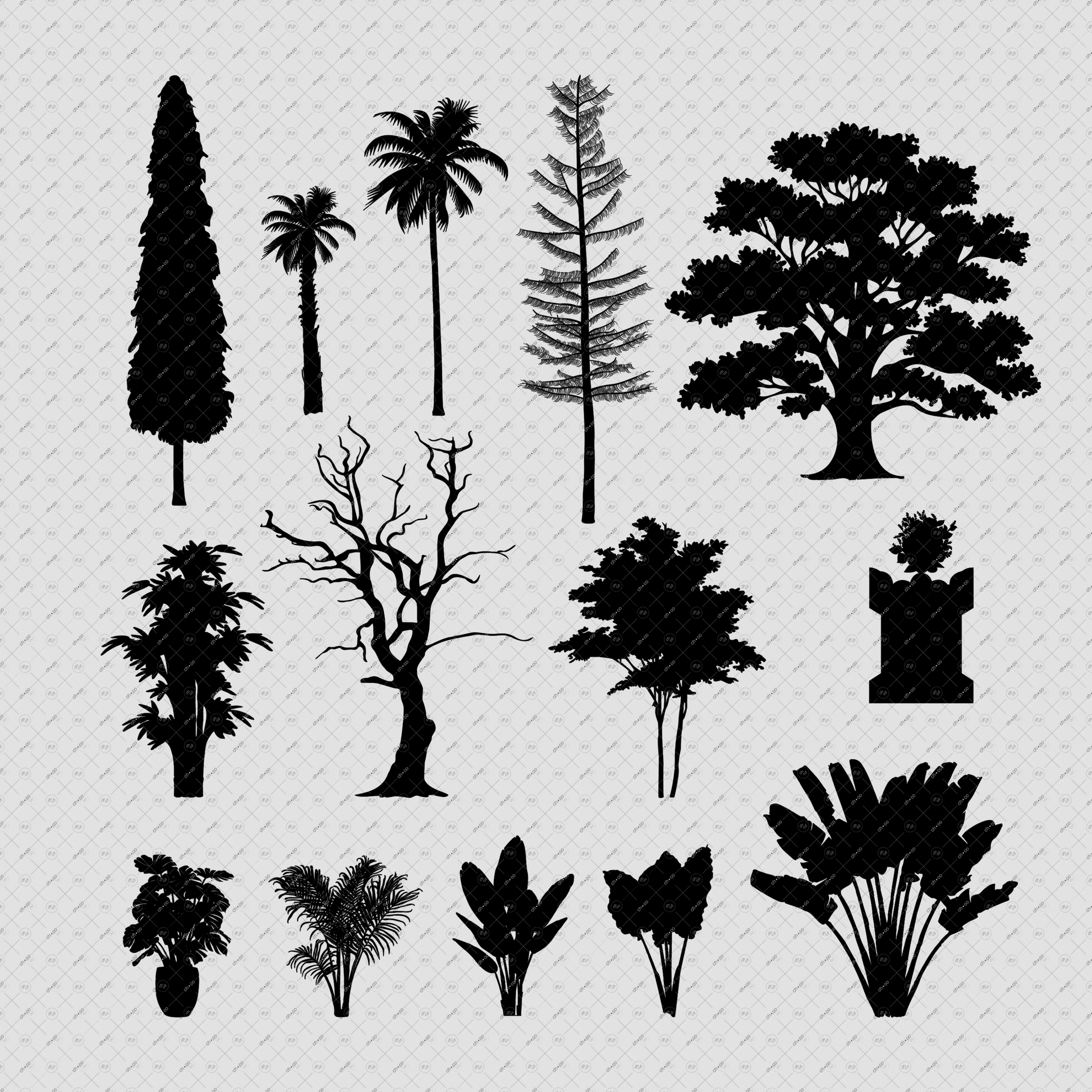 Indian-Trees-photoshop-brush-presets-Native-Landscaping-Trees-Elevation-Architecture-drawings
