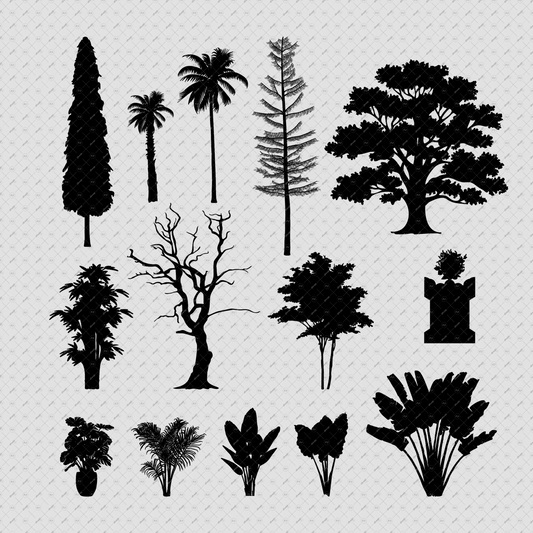 Indian-Trees-photoshop-brush-presets-Native-Landscaping-Trees-Elevation-Architecture-drawings