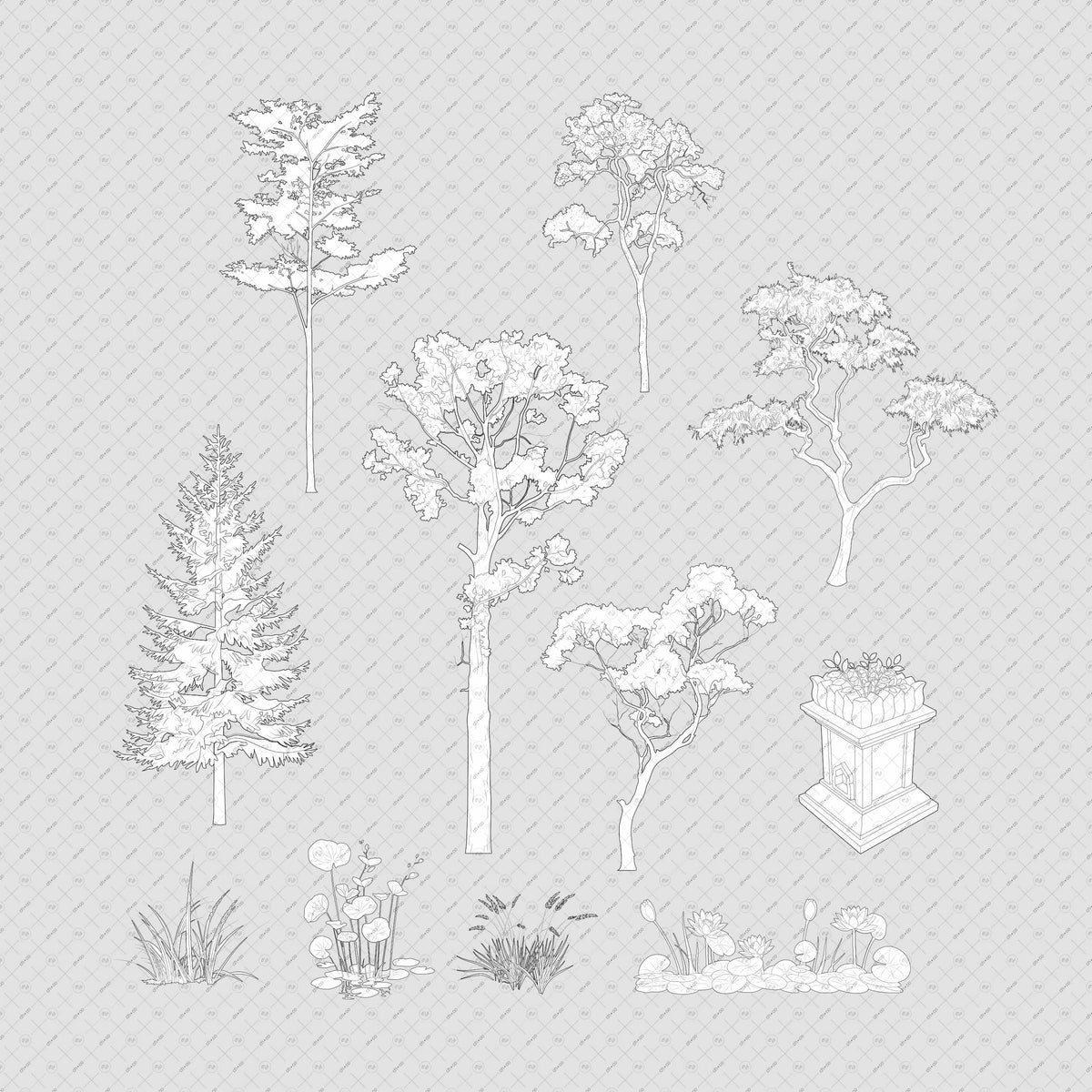 Indian-trees-elevation-vector-cutout-PNG-architecture