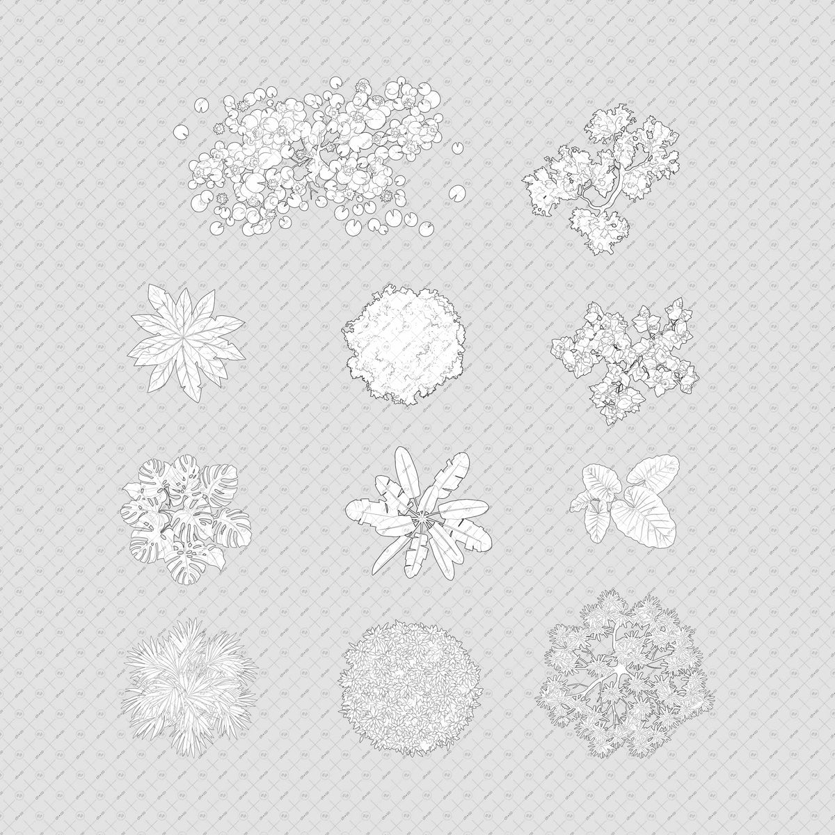 Indian-trees-top-view-vector-cutout-PNG-architecture