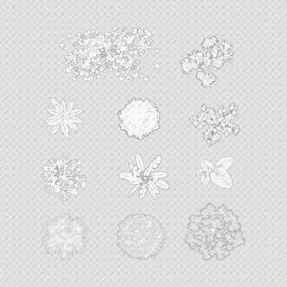 Indian-trees-top-view-vector-cutout-PNG-architecture