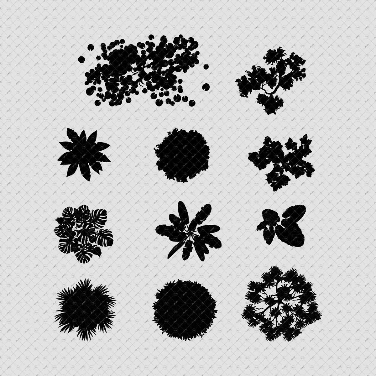 Indian-trees-top-view-vector-cutout-PNG-photoshop-brush-silhoutte-architecture