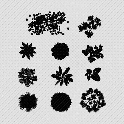 Indian-trees-top-view-vector-cutout-PNG-photoshop-brush-silhoutte-architecture